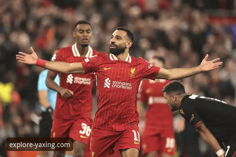 狼队vs利物浦足总杯复盘：掌握关键数据，提升观赛洞察力的完整指南