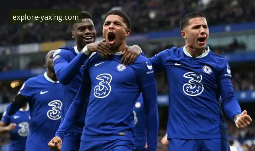 亚星体育平台App深度揭秘：从下载到实战的全流程真相